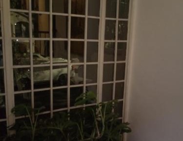 Double Room with Park View
