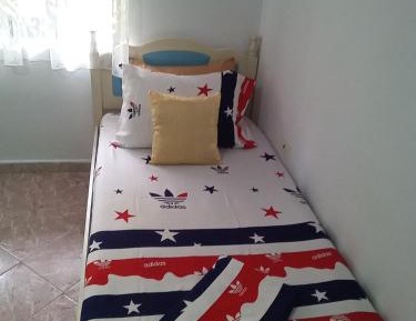 Bunk Bed in Mixed Dormitory Room