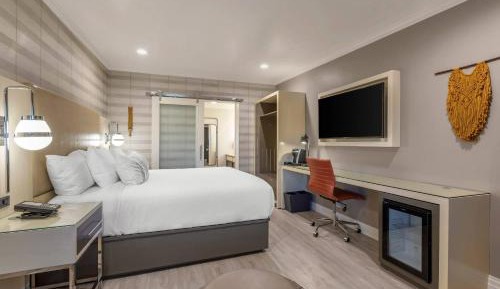 Standard Room, 1 King Bed, Non Smoking