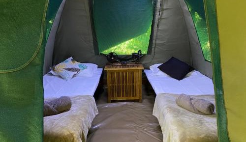 Glamping Eco Tent