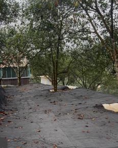 Empty Lot