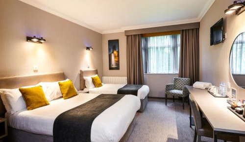 Standard Double or Twin Room