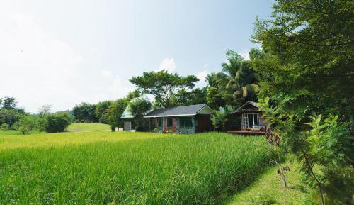 Queen Room with Garden View