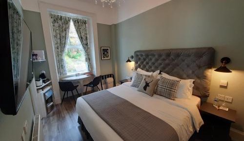 King Room with Garden View