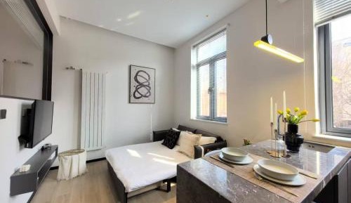 Superior One-Bedroom Apartment (sofa bed, free coffee, washing machine, kitchen)
