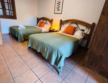 Budget Twin Room