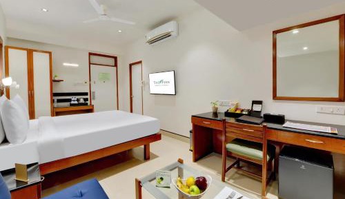 Winter Green Premium Room