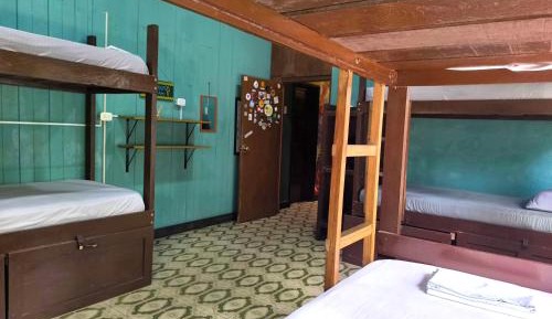 Single Bed in 6-Bed Dormitory Room