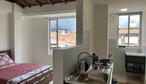 One-bedroom Loft Apartment 