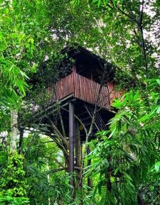 Superior Villa