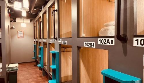 Bunk Bed in Female Dormitory Room  