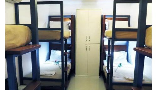Bunk Bed in Mixed Dormitory Room