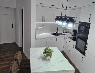 Deluxe One-Bedroom Apartment with City View