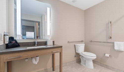 King Room with Hearing Accessible Roll In Shower - Non-Smoking
