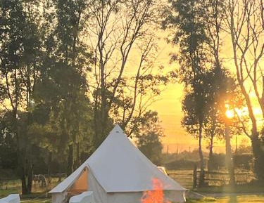 Tent