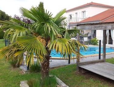 Double Room with Garden View