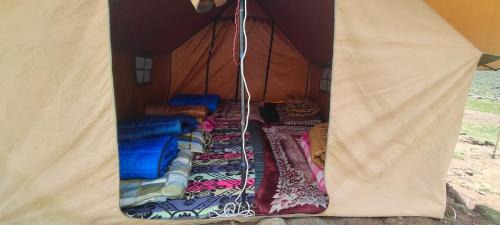 Single Bed in 6-Bed Dormitory Room