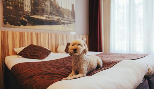 Comfort Twin Room