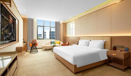 Deluxe Queen Room