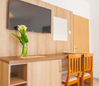 Triple Room with Terrace and Garden View