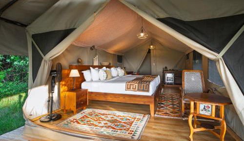 Tent