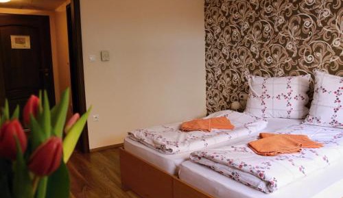 Deluxe Double Room (2 Adults + 1 Child)