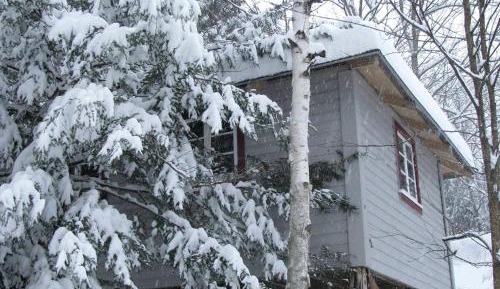 Holiday Home