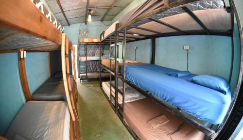 Single Bed in Mixed Dormitory Room