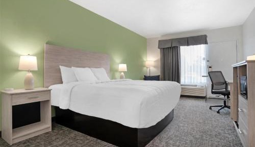 King Room with Pool View