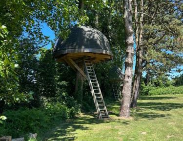 Treecamp