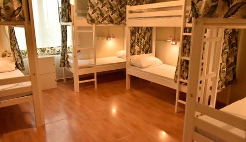 Bed in 6-Bed Mixed Dormitory Room