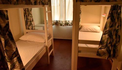 Bed in 4-Bed Mixed Dormitory Room