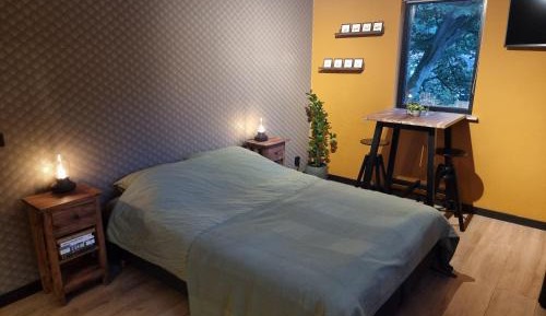 Double Room with Shared Bathroom