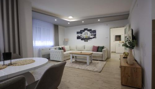 Deluxe One-Bedroom Apartment