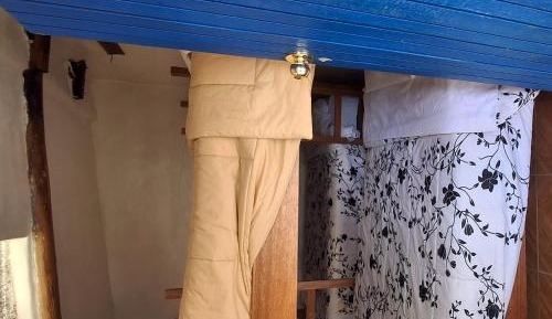 Bed in 4-Bed Mixed Dormitory Room