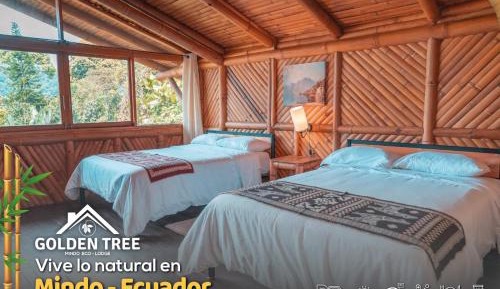 Family Double Room
