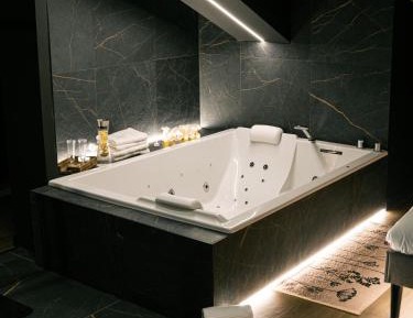 Deluxe One-Bedroom Apartment