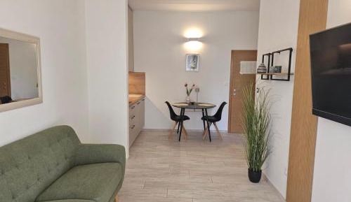 Superior Studio Apartment