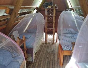 Single Bed in Mixed Dormitory Room