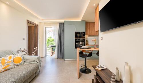 Deluxe One-Bedroom Apartment