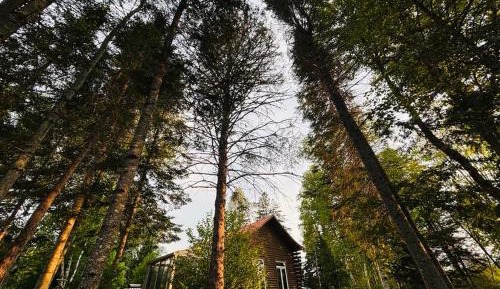 One-Bedroom Chalet