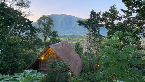 One-Bedroom Jungle Villa