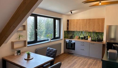Deluxe One-Bedroom Apartment with Garden View