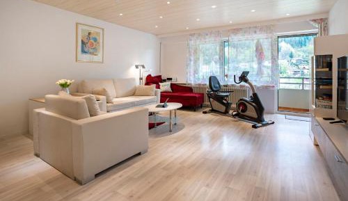 Superior One-Bedroom Apartment with Balcony