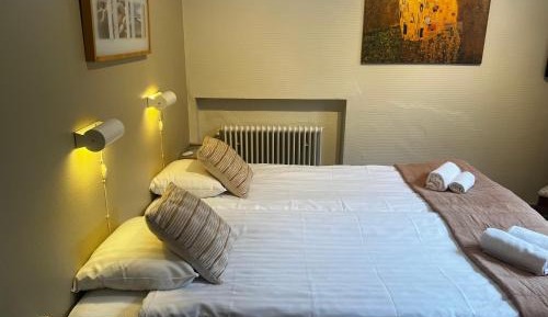 Twin room with private toilet (shared shower)