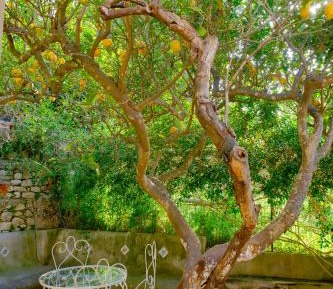 Double Room with Terrace