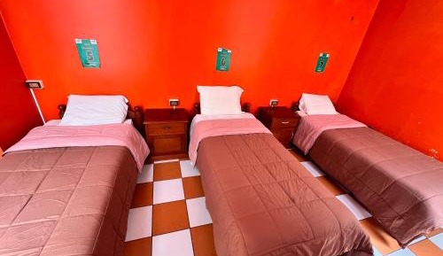 Bed in 6-Bed Dormitory Room