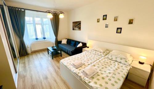 Double Room with Extra Bed and Shared Bathroom and Shared Kitchen