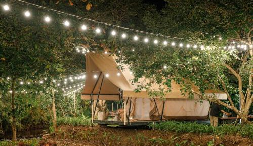 Tent