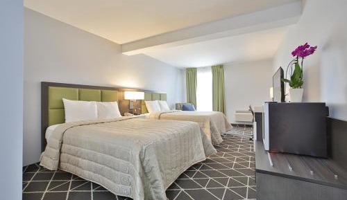 Luxury Queen Room with 2 Queen Beds